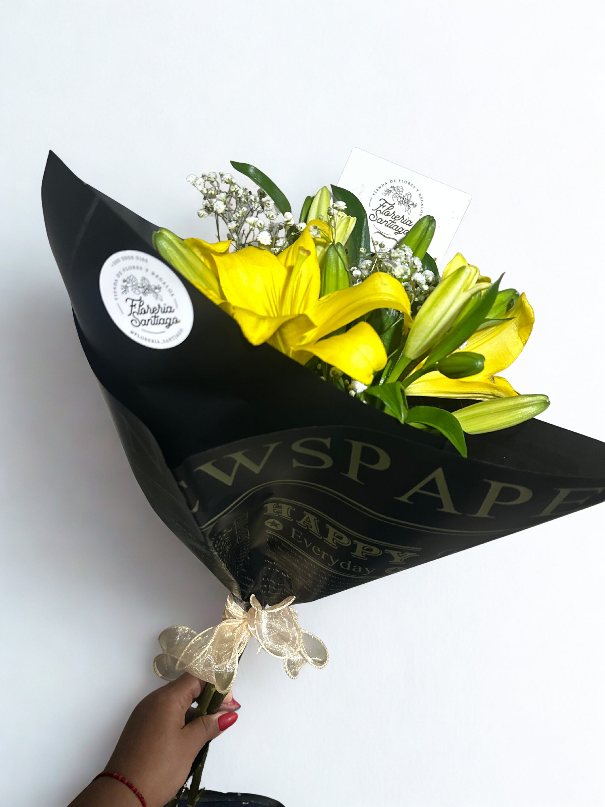 Especial Graduaciones