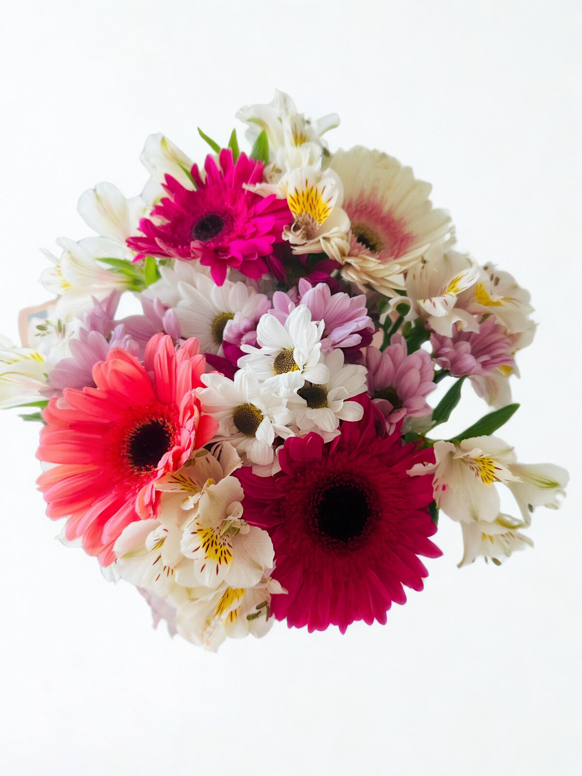 Colores del alma - Gerberas