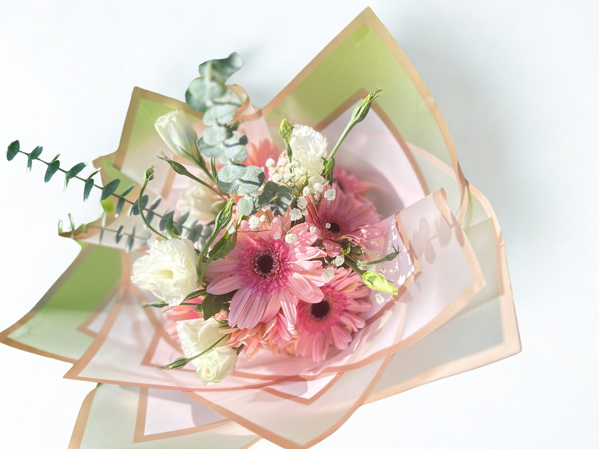 Dulce Armonia - Gerberas