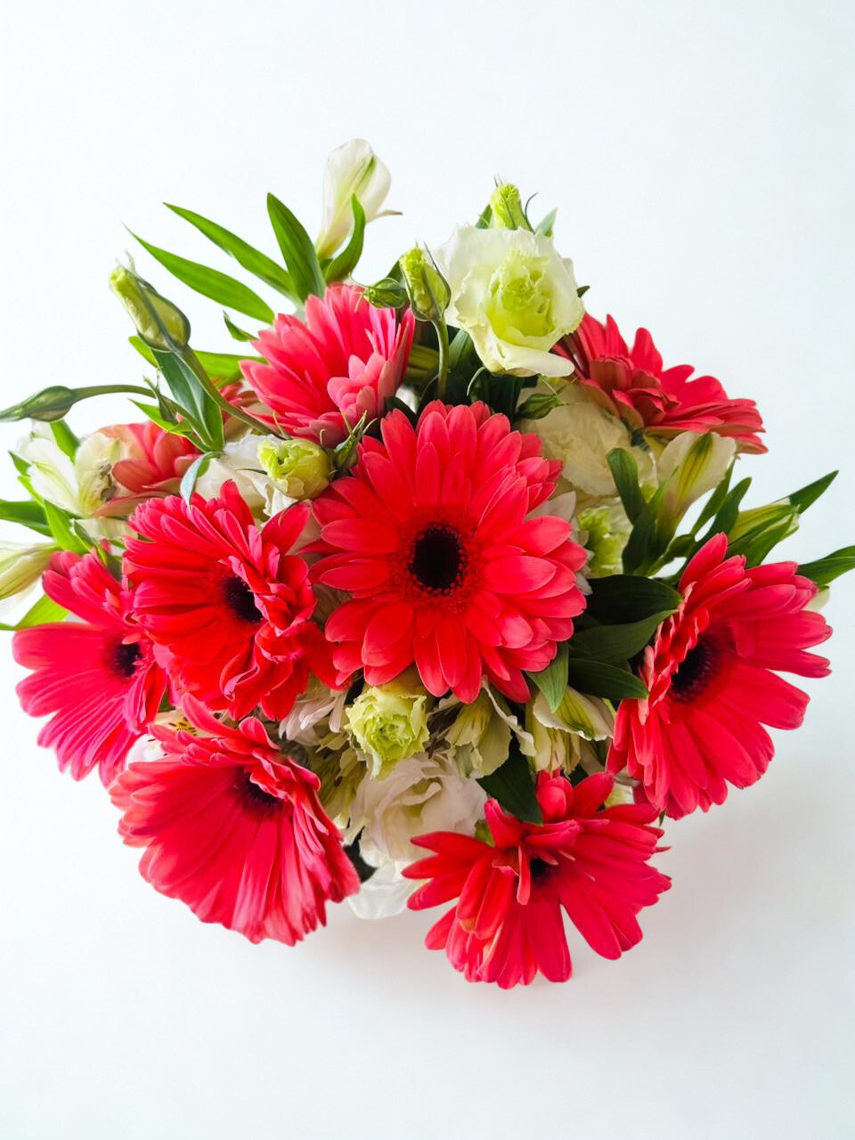 Universo de Flores - Gerbera