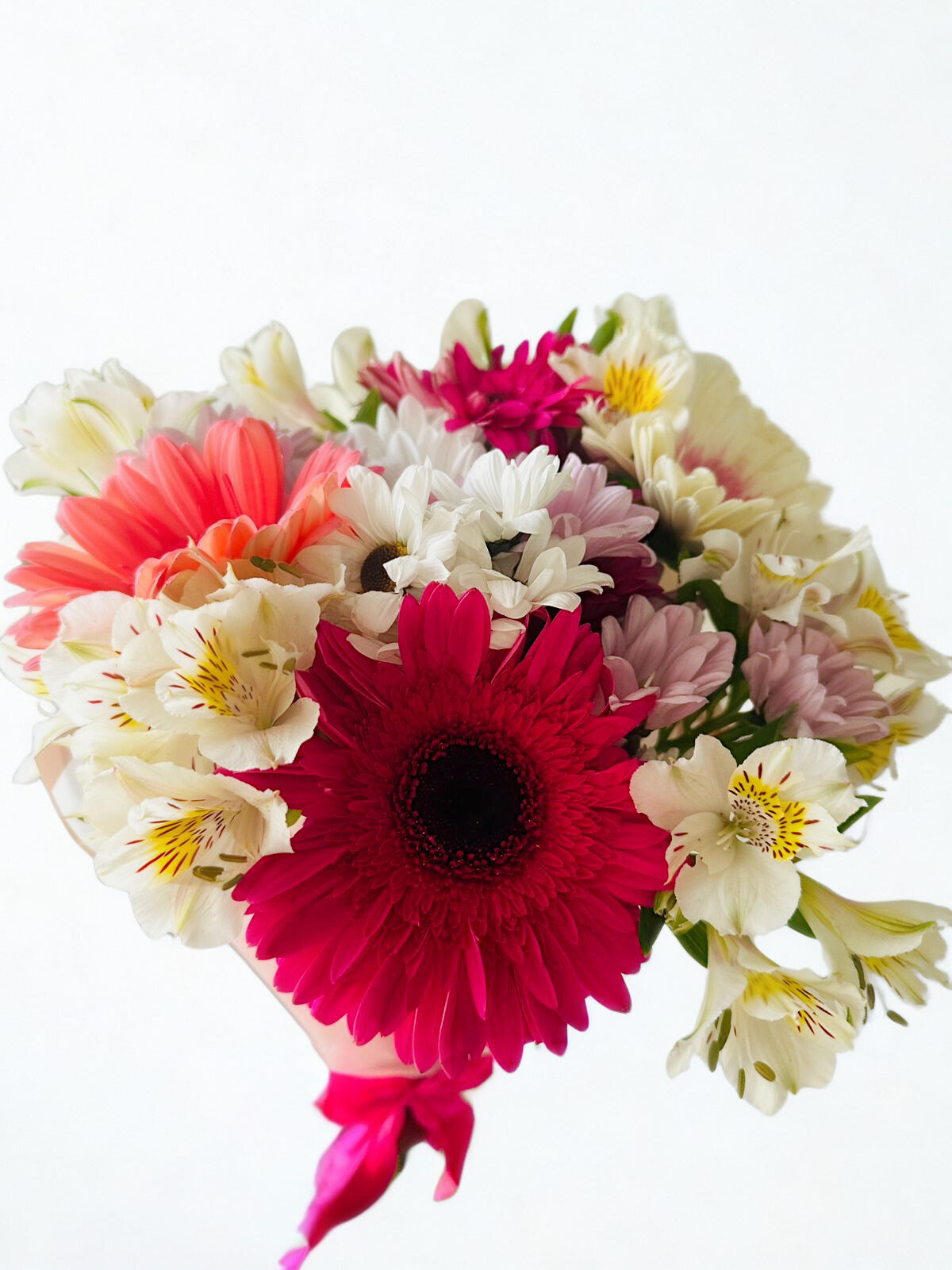 Colores del alma - Gerberas