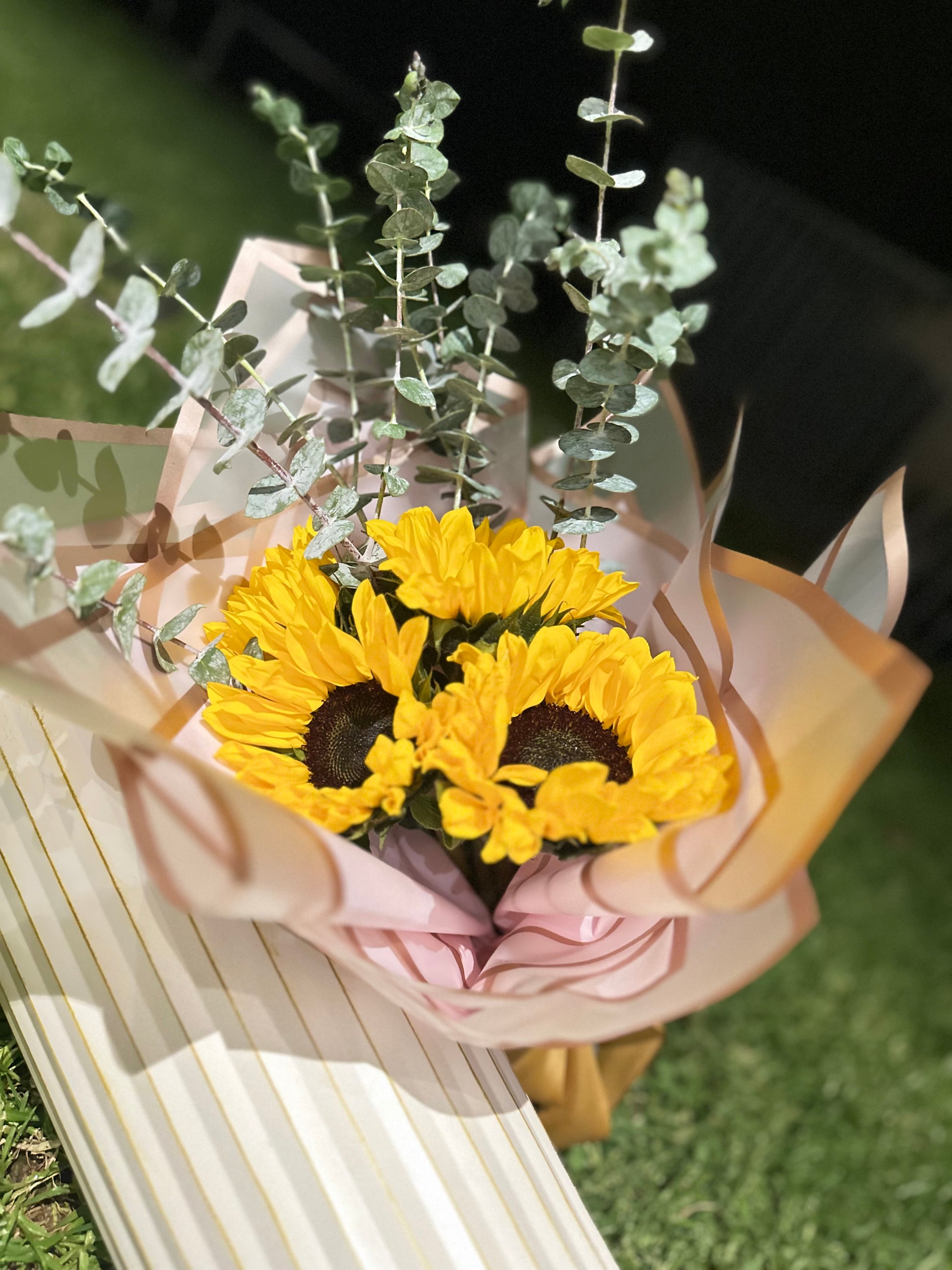 Rayos de Luz - Girasoles