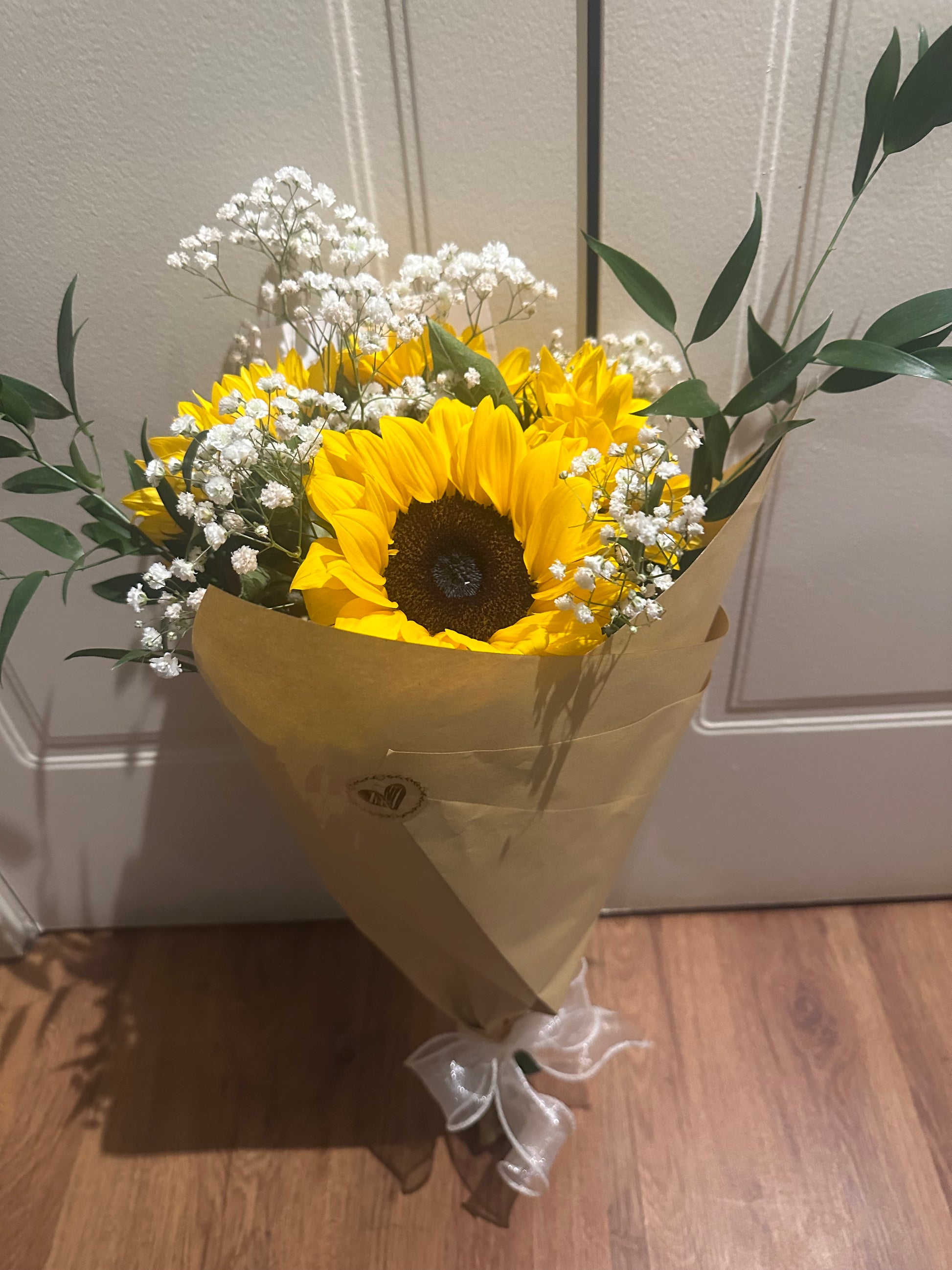 Rayos de Luz - Girasoles