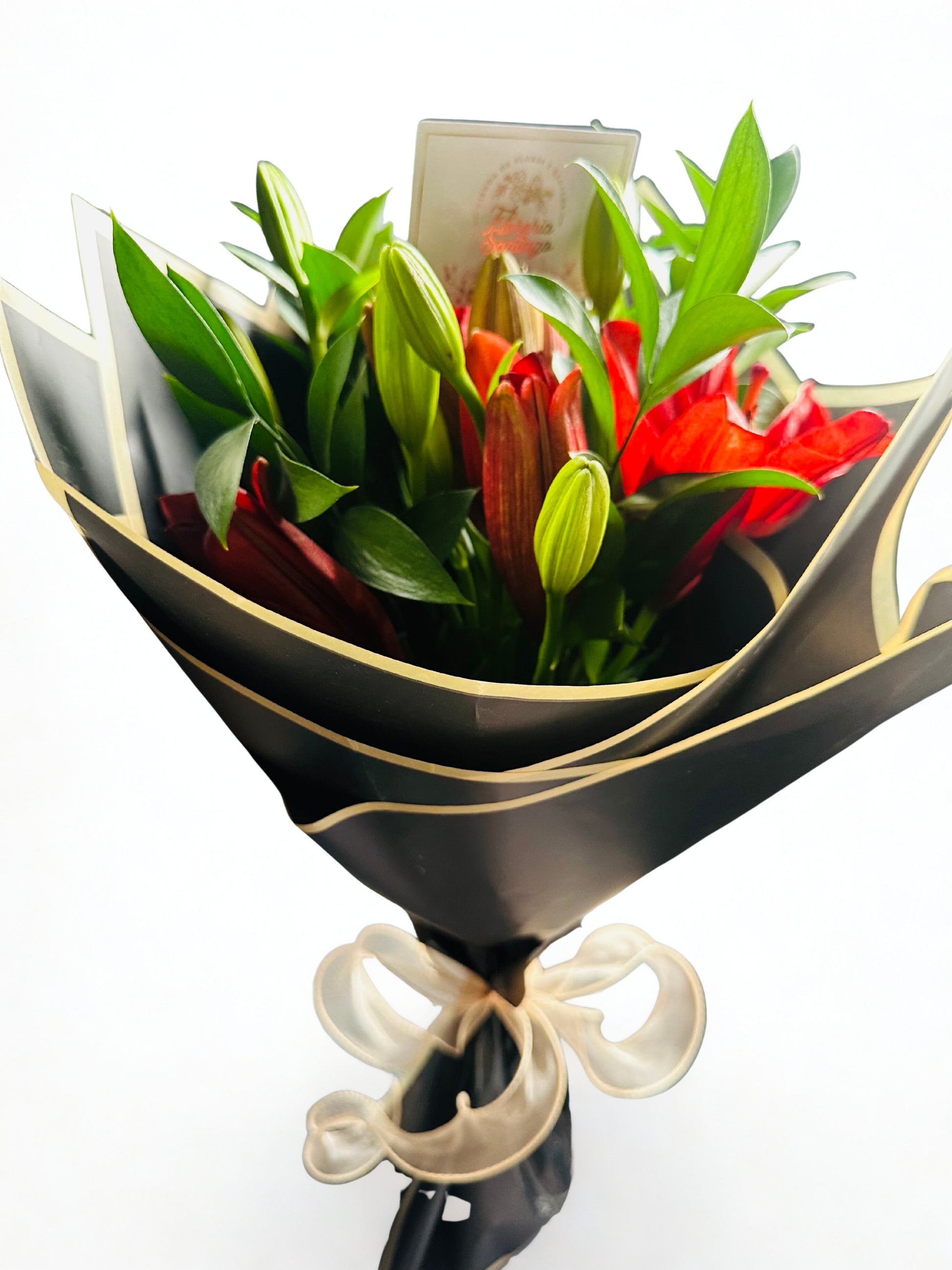 Especial Graduaciones